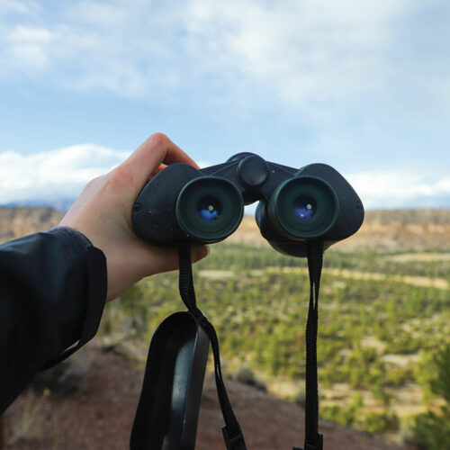 3 best binocular brands in the market