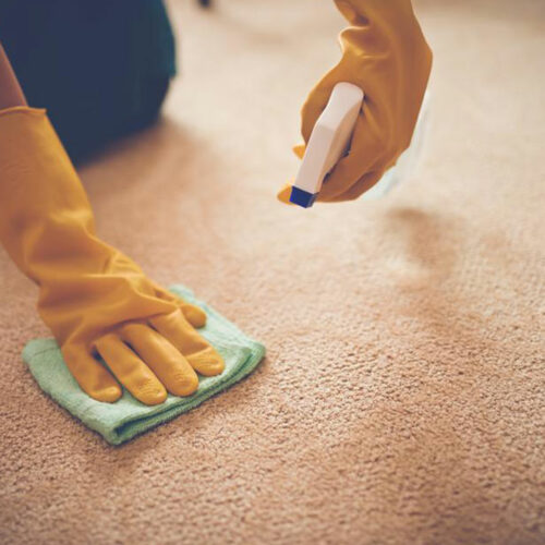 5 benefits of carpet cleaning services